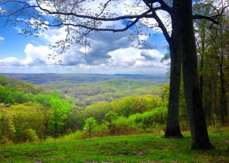 Brown County Indiana With Love