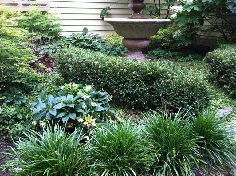Why I Call Myself God’s Gardener