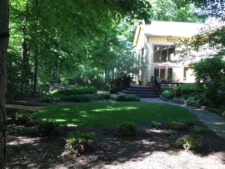 Creating Shade in Your Yard